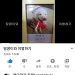 [강아지] <b>땅콩</b>이와 이별하기