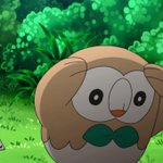 고딩 <b>인문</b>계 퍼센트컷 지역마다 달라??