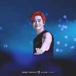 [EXO] 여기 <b>일요일날</b> 콘서트 가는애 있냐?