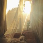 [ㅈㄱㄴ] 정신건강 안 좋을 <b>때</b> 커<b>뮤</b>하는 거 ㄹㅇ