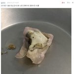 [댓글부탁해] <b>곰팡</b>이핀 학교급식..제발 도와주세요