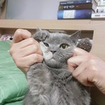 [댓글부탁해] 너네 에어팟 잘 써?
