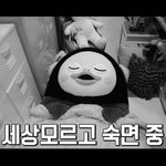 [모두드루와] 펭수 <b>본체</b> 봤어?
