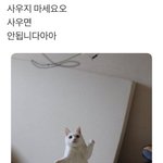 첫 <b>뽀글이</b> 도전함