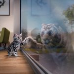 ㅋㅋㅋㅋㅋㅋㅋㅋㅋㅋ존귀