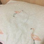 이정도면 진짜 <b>탈모</b> 아니냐