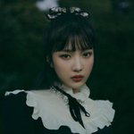 조이는 퍼스널컬러 뭘까