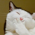 나 다이어트 하려고 하는데 좀 봐주라
