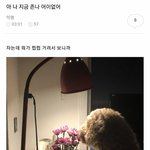 [댓글부탁해] <b>생리</b>하는거 나만 좋아하냐...