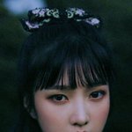 대성마이맥 듣는 판녀들아