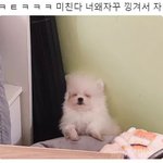 [모두드루와] 헐 역대 ㄷㄷ