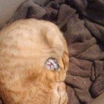 [모두드루와] 헐 죽는거 아니겟지