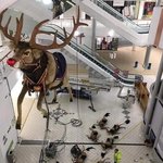 [모두드루와] 좀 섬뜩한데....