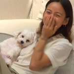 이효리 품이 <b>편한</b> 메이비네 강아지
