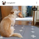 [모두드루와] 짱<b>절미</b> 업뎃