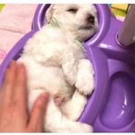 [모두드루와] 이거 누구야???