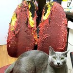 헐 이거 찐 맞아 ?