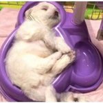 [모두드루와] ㅋㅋㅋㅋㅋㅋ개욱기네