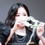 풀꽃같이 <b>온화</b>한 아이돌들