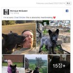 [댓글부탁해] 실종된지 10일된 반려견의 <b>목줄</b>만 돌아온 사건