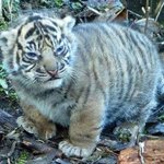 ㅋㅋㅋㅋㅋㅋㅋㅋㅋㅋ<b>미쵸</b>