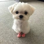 너네 내일 계획 어떻게 돼??