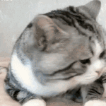 [댓글부탁해] 31일에 <b>술집</b>가는 ㅜ01들어와바ㅠㅠㅠㅠ