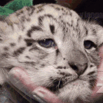 [이것좀봐줘] 내년에 20살인데 1월 1일에 <b>술약속</b> 하나도 안 잡힘