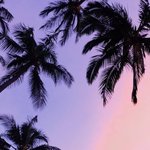 [ㅈㄱㄴ] 고삼들 술 솔직히 추반하자