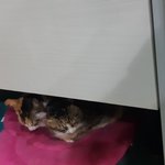 잘생겼다 <b>생각</b>하는 <b>남</b>돌 3명 말해보자