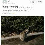 [댓글부탁해] 여자 키 165면 엄청 작은거야?