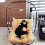 [인피니트] 너네 새해 첫 노래 뭐 들을거야?