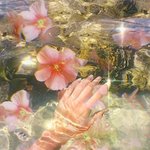 나 5년동안 한사람 짝사랑<b>중임</b>