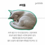 [댓글부탁해] 19<b>남</b> 23<b>여</b> 사귀는거 ㅇㄸ  추반