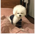 [댓글부탁해] 나 ㅃㄹ <b>새해</b>목표 세워야 함