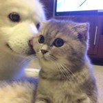 [댓글부탁해] <b>1</b>/<b>1</b> 열애설