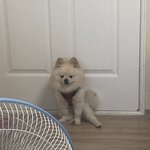 [댓글부탁해] <b>새해</b>맞이겸 너넨 2019년 어땠냐