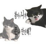 [댓글부탁해] 쌍수하고 누워서 <b>자도</b>돼?