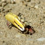 [댓글부탁해] 디패 이렇게들 예상하던데