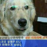 [드루와] 2020년 되면 ㅋㅋㅋㅋㅋ