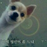 가요대전 다 아쉽긴한데