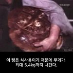 [모두드루와] <b>장발</b>장이 훔쳤던 빵