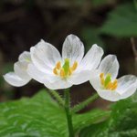 이런걸 ㅁㅓ라하지