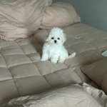 <b>사소</b>한 거에 서운해하는 거 어케 고치냐