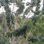 <b>다낭</b>이나 호이안 되도록 가지마세요