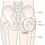 [댓글부탁해] 얘들아 나 <b>어느</b> <b>병원</b> 가야하는거야??
