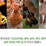 [김재환] 2020년은 김재환의 해