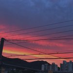 [댓글부탁해] 해리포터 부모님이랑 볼만 해?