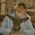 [EXO] 열튭 강아지 귀땜에 찬열이랑 넘 닮았음ㅋㅋㅋ