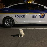 [댓글부탁해] <b>내입</b>으로 말하긴 좀 그런데